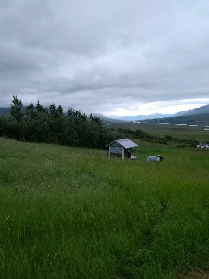Iceland Yurt Akureyri Exterior photo